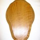 oak roe/muntjac skull shield 7