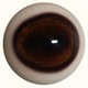 dark deer eyes (defined cornea forward looking)