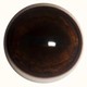 dark deer eyes (narrow banded)