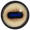 Goat Eyes 20MM