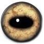 Lt Sheep/Goat Eyes 24MM