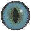 Cat Eyes 16MM