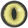 Cat Eyes 18MM