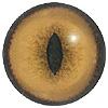 Cat Eyes 18MM