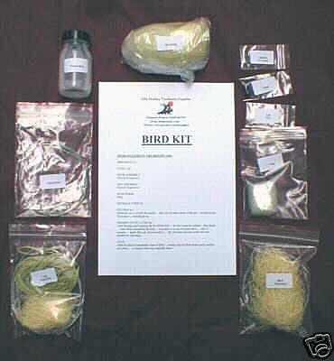 Hooded/Carrion Crow Bird Kit