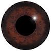 Aspheric Woodcock Eyes 10MM