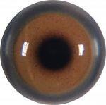 Med Brown Adult Buzzard 14MM