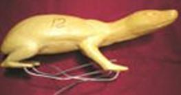 Badger Cub form FBC 9