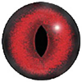 Red Cat Eyes 18MM