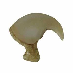 Reproduction African Lion Claw