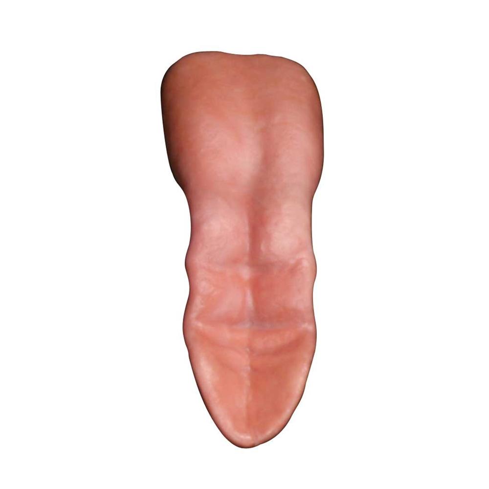 Wild Boar Relaxed Tongue