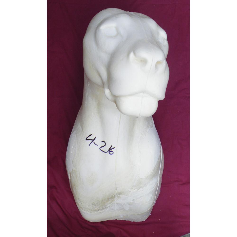 African Lion Shoulder Mount AF1
