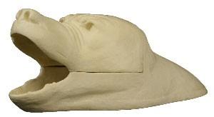 Black Bear Rug Shell 1