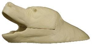 Black Bear Rug Shell 2