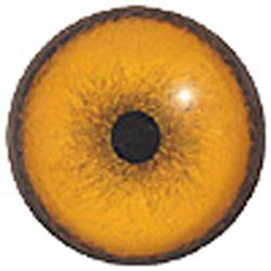 Tiger Eyes 30MM