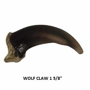 Reproduction Wolf Claw