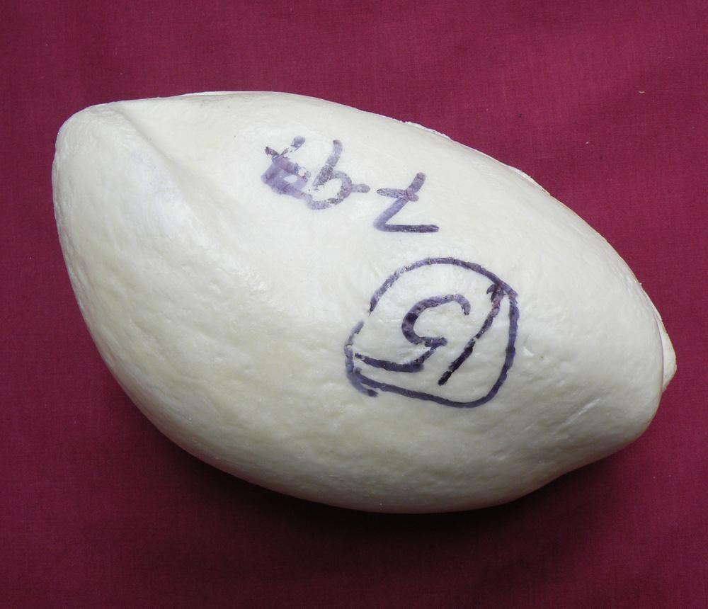 Female Capercaille Body