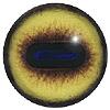 Goat Eyes 20MM