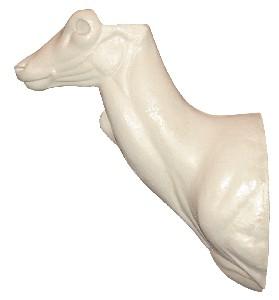 Fallow Deer S/Mount FD10