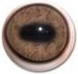 Wildebeeste Eyes 26/30MM
