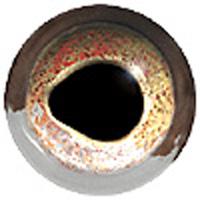 Glass Fish Eyes 12mm