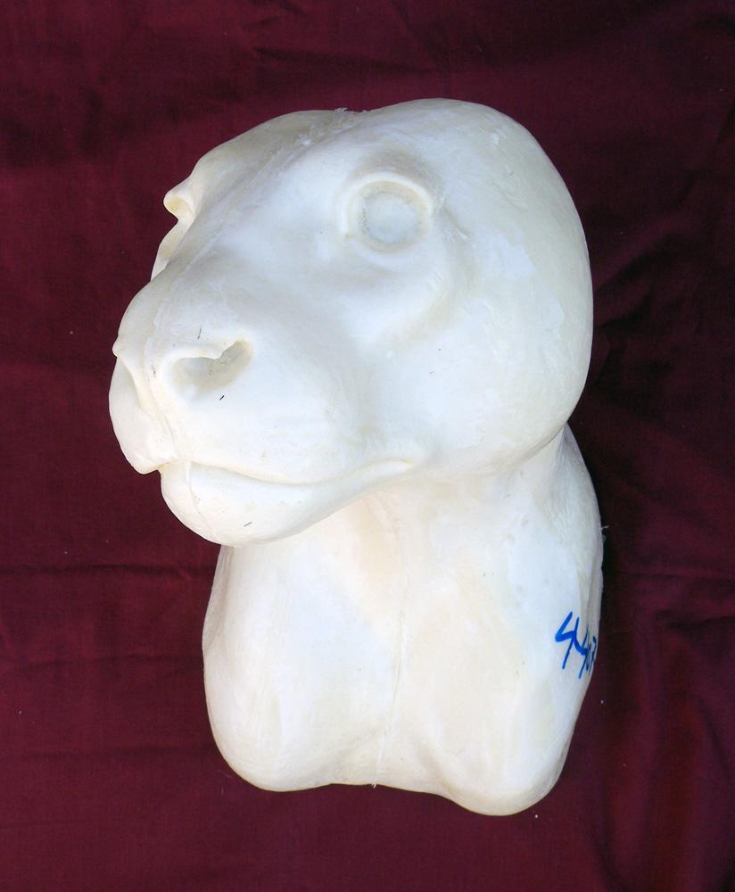 Mountain Lion /Leopard S/Mount