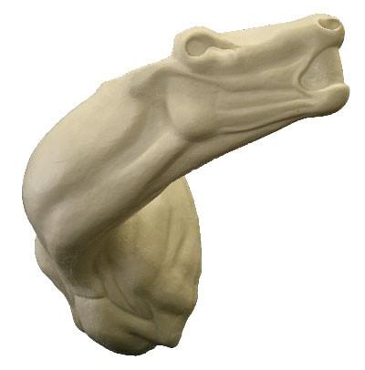Red Deer Shoulder Mount RS10