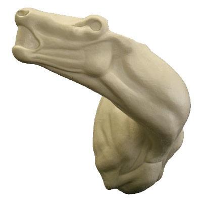 Red Deer Shoulder Mount RS11