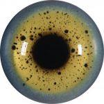 Great Black Back Gull 13MM
