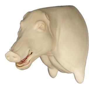 Wild Boar Shoulder Mount WB 10A O/M