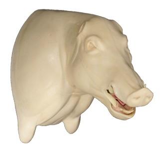 Wild Boar Shoulder Mount WB 10B O/M