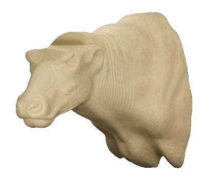 Cape buffalo Shoulder Mount CB2