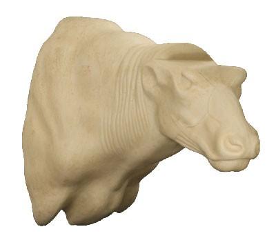 Cape buffalo Shoulder Mount CB3