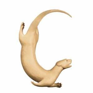 Swimming Otter SO2