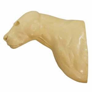 African Lion Shoulder Mount AFL2