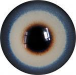 Black Kite 12MM