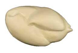 Peacock Body PK2