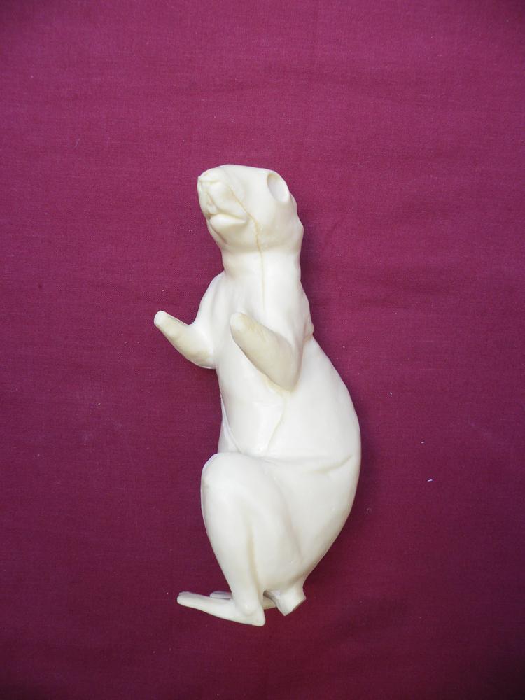 Squirrel Form No 27