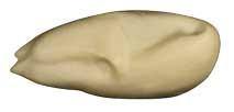 Mallard  Body Form (Small)