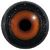 baboon Eyes 12/18MM