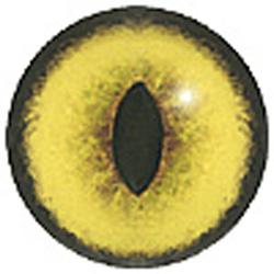 Kitten Eyes 10MM