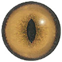 Kitten Eyes 10MM