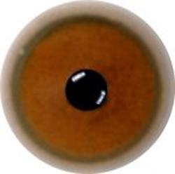 Cheetah 24mm