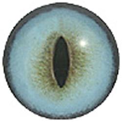 Siamese Cat Eyes 18MM