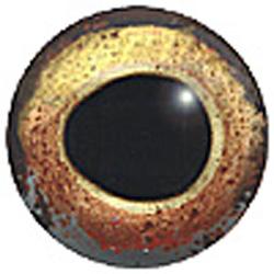 Glass Fish Eyes  20mm