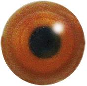 Acrylic Hazel Eyes
