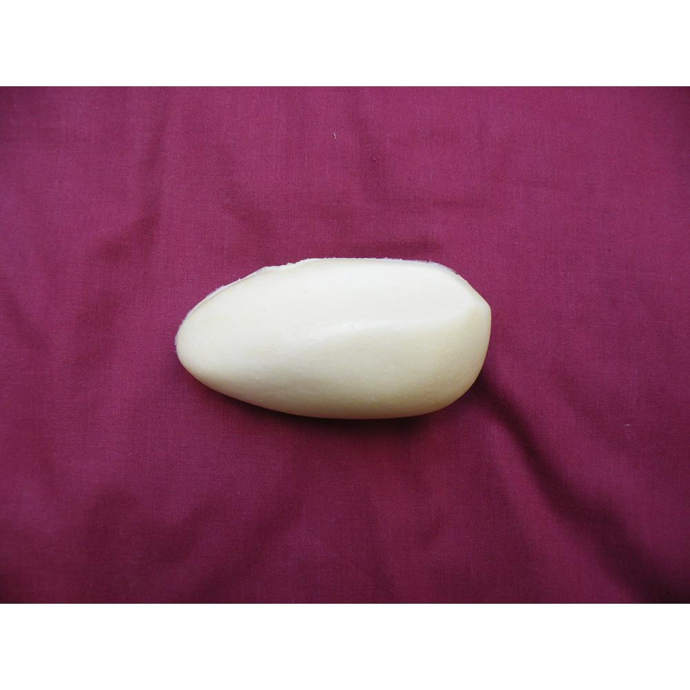Teal Bird Body Form