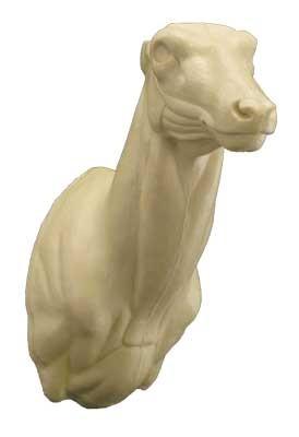 Red Deer/Stag Shoulder Mount RS14