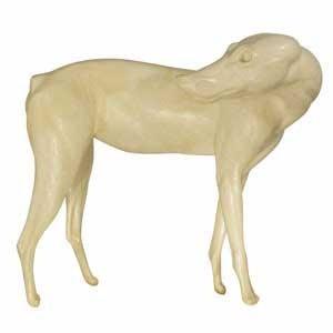 Coyote Form FC3