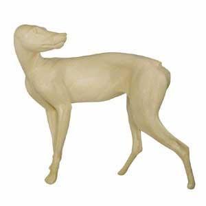 Coyote Form FC4